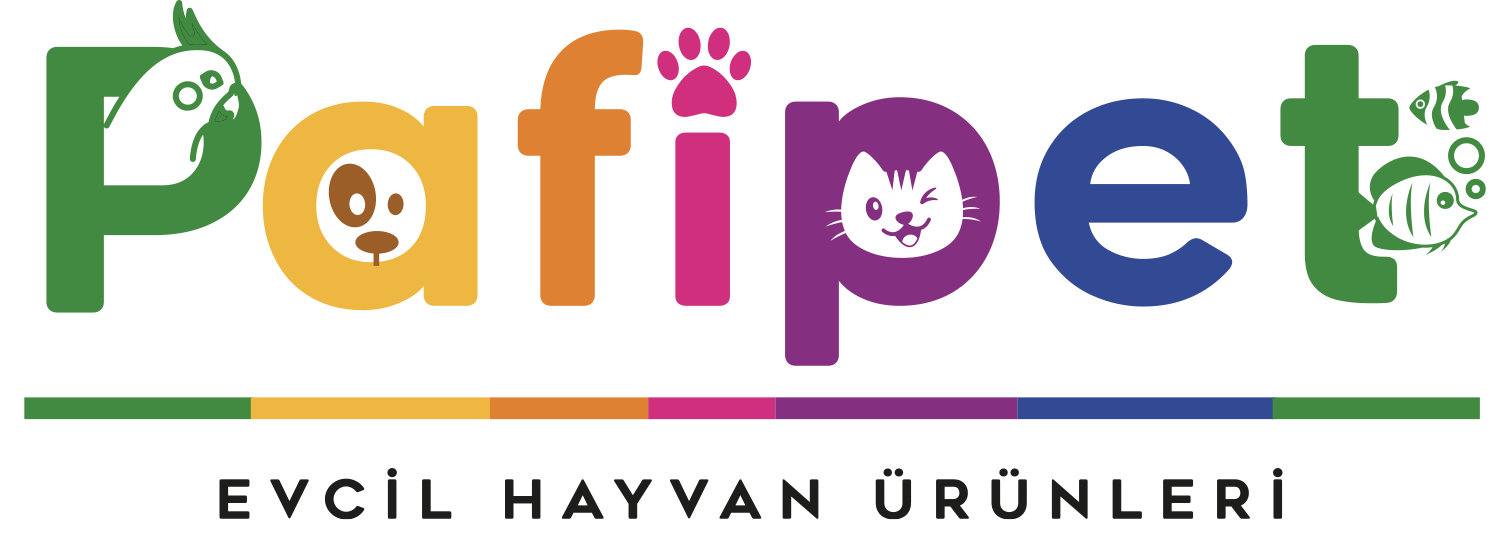 Bahar Kanarya /pafi̇pet Petshop