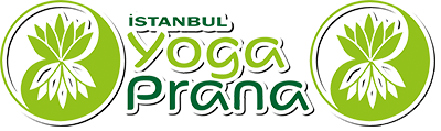 Bahçeşehir İstanbul Yoga Prana İyengar Metodu