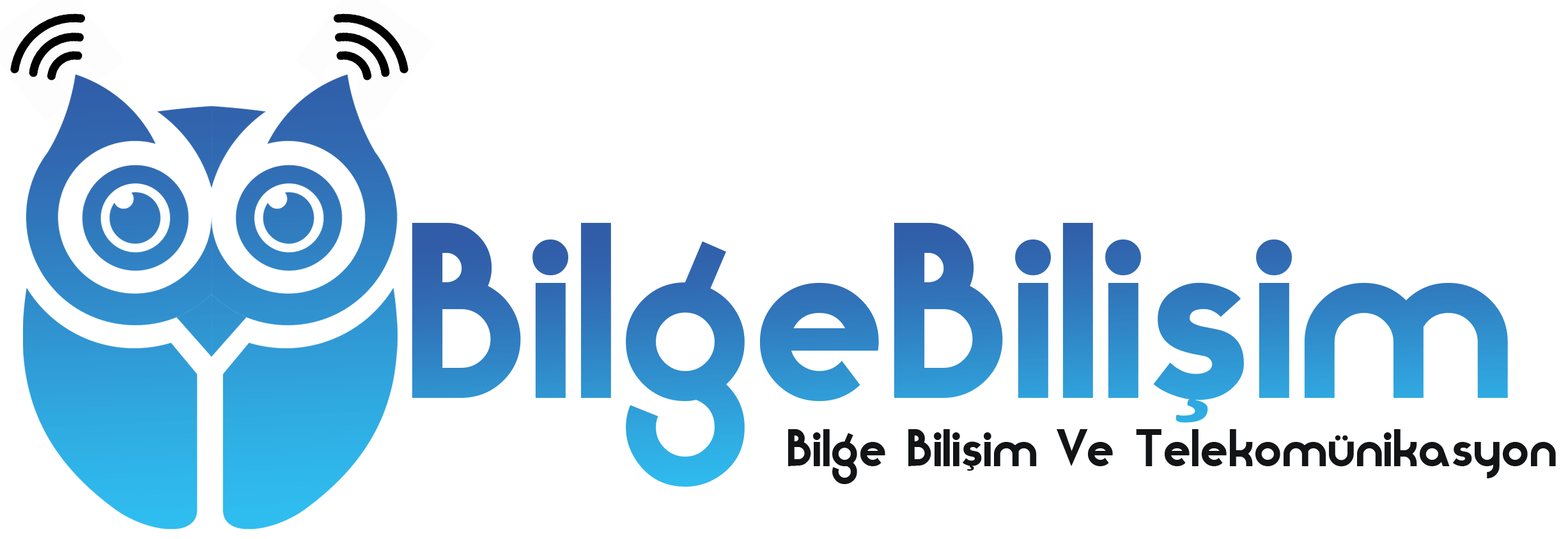 Bilge Bilişim Ve Telekomünikasyon Hizmetleri