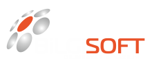 Bilgisoft Bilgisayar ,muğla Web Tasarım, Güvenlik