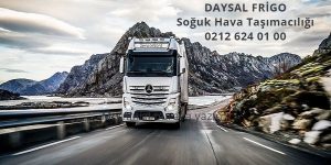 Daysal Frigo Soğuk Havataşımacılığı