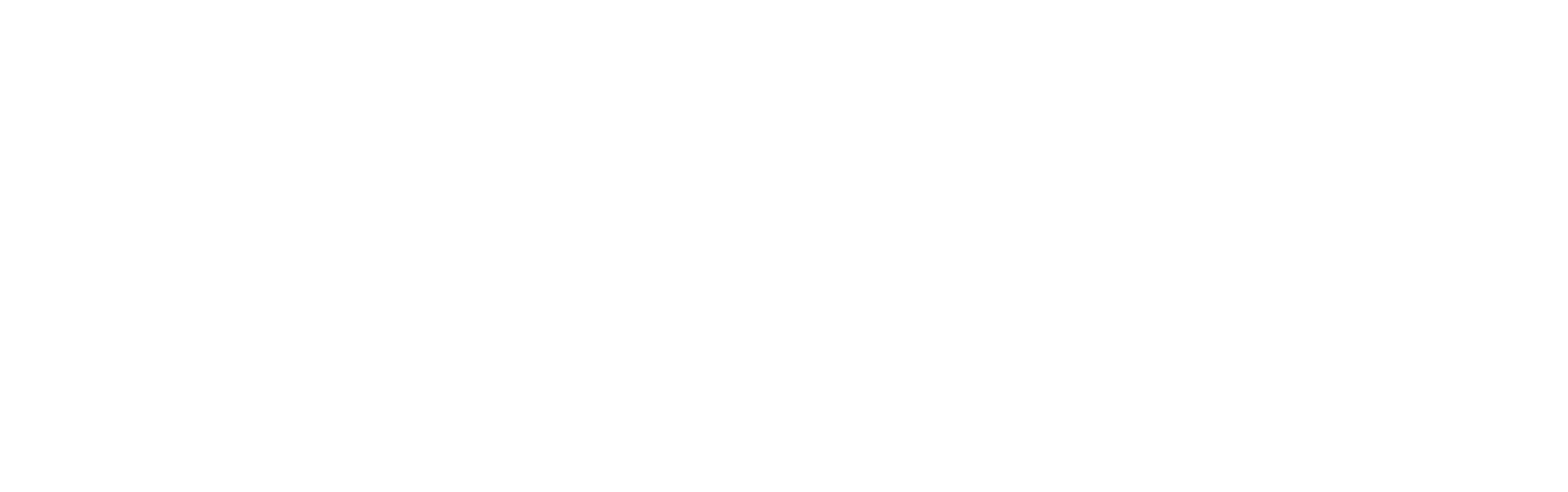 Gnu Bilişim