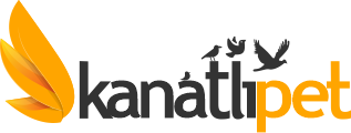 Kanatlipet.com