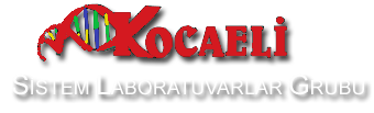 Kocaeli Sistem Laboratuvarı