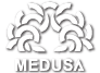 Medusa Güzelli̇k Ve Solaryum Merkezi̇