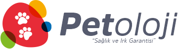 Petshop Petoloji