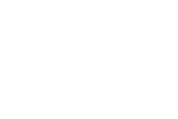 Piramit Web Tasarım & Reklam Ajansı