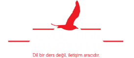 Revolution Dilokulu