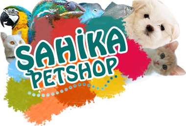 Şahika Petshop